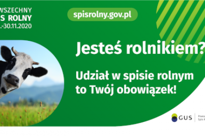 Obowiązek spisowy